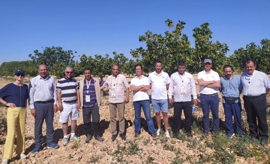 visita asociación irán pistacho españa Chaparrillo