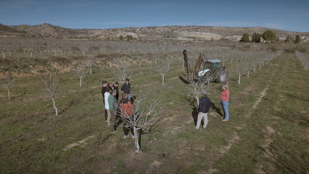 proyecto pistazero pistacho